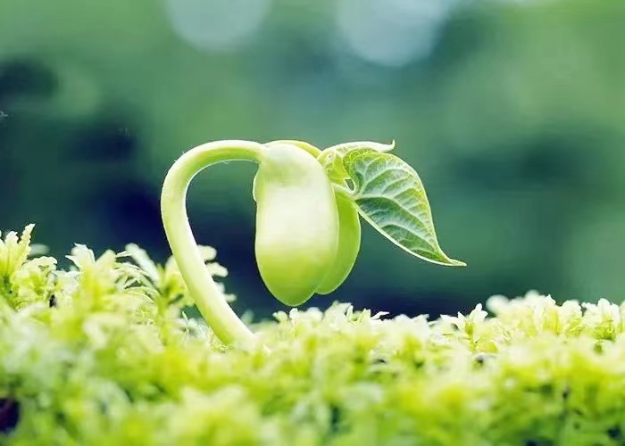 河南开封税收优惠园区有什么优惠政策