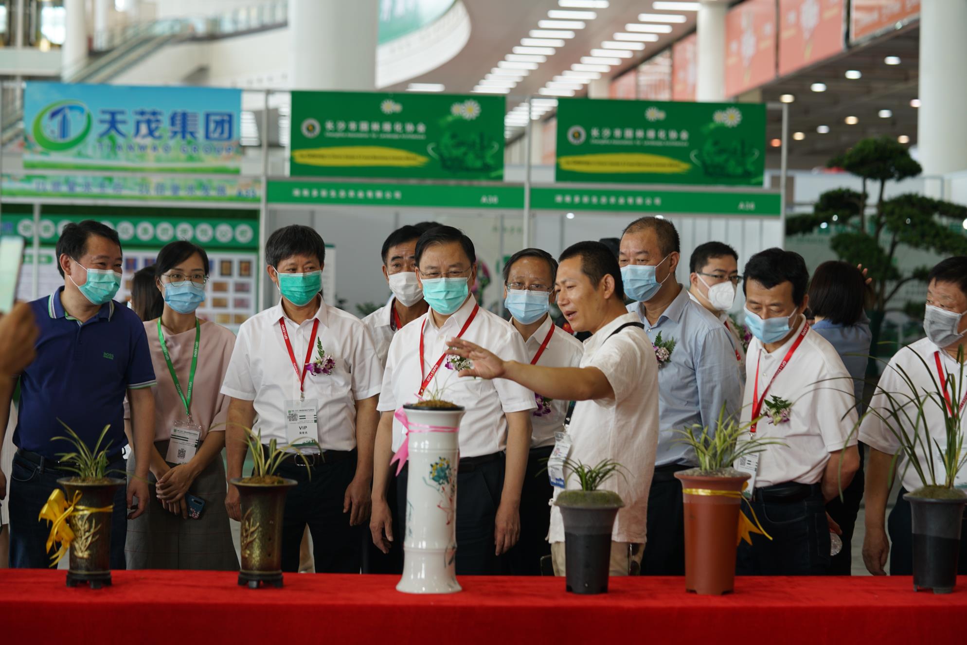 2022湖南园林绿化展，2022湖南仿真植物展