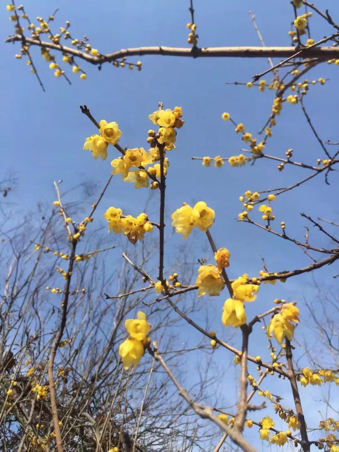 开封公示通过的电力三市政三钢结构二房建二级资质转让