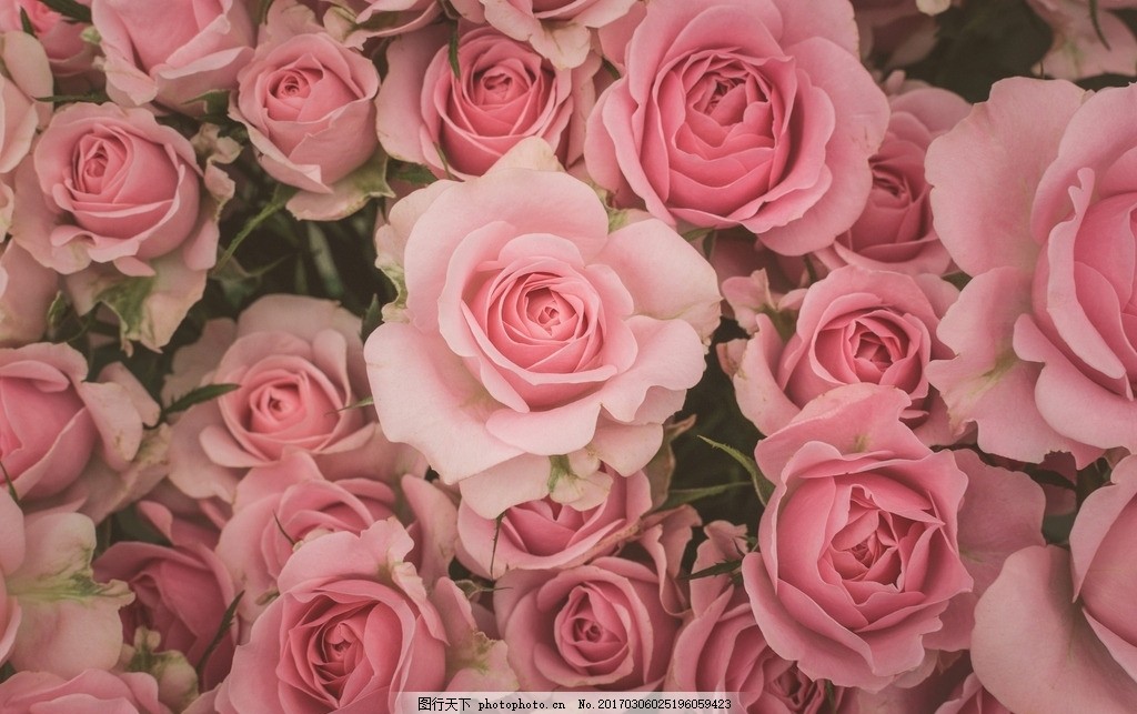 郑州房建三级市政三级新办人员数量