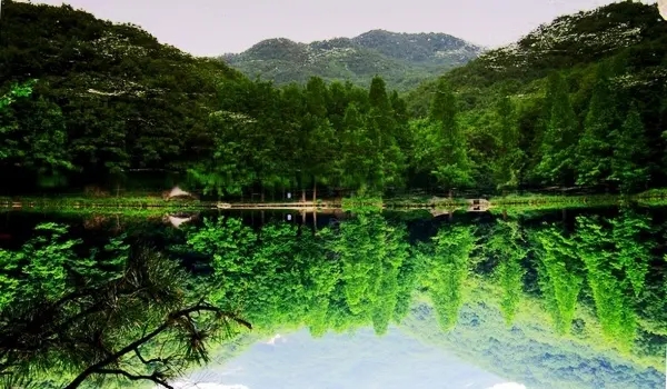 许昌房建三级电力三级装修二级资质公司未经营股权整转