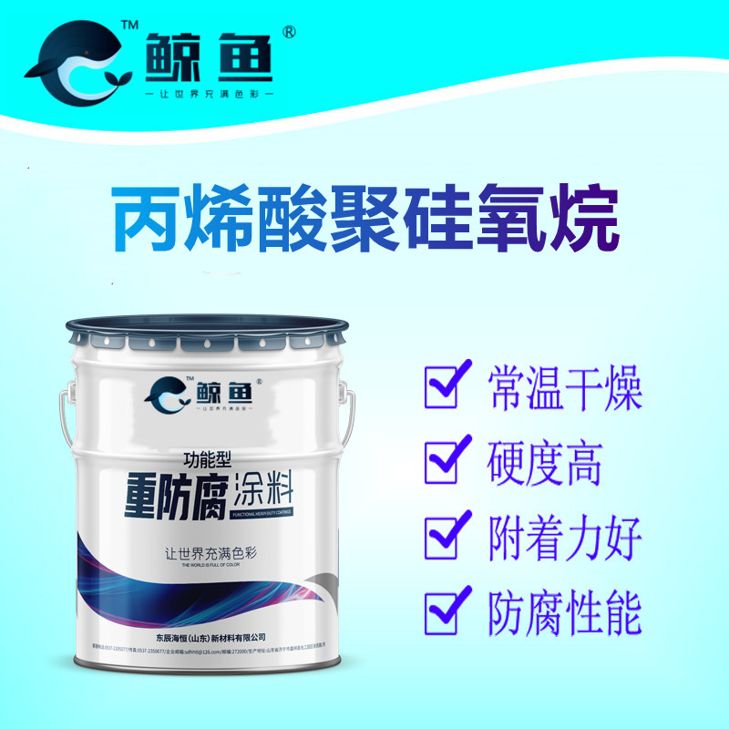 丙烯酸聚硅氧烷面漆 专业重防腐漆 防腐防锈性能优异 厂家批发
