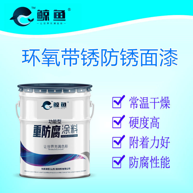 环氧带锈防腐漆 环氧云铁防腐防锈漆