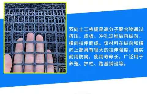 双向塑料土工格栅直销厂家供应商