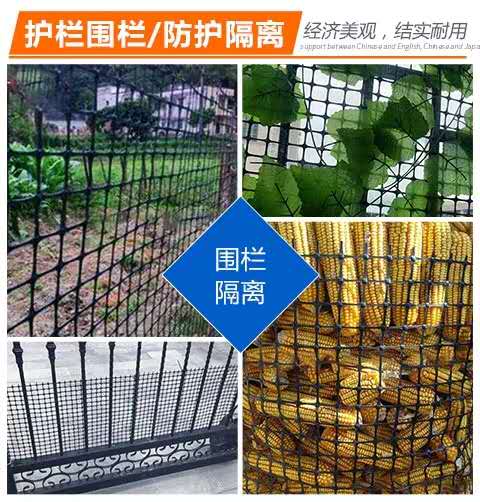 微信图片_202006040910356.jpg