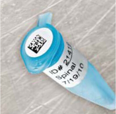 贝迪实验室常用标签