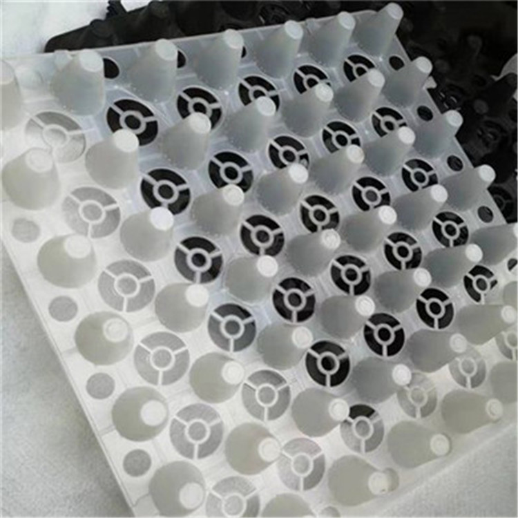 吉林供应3米宽卷状排水板HDPE根刺排水板