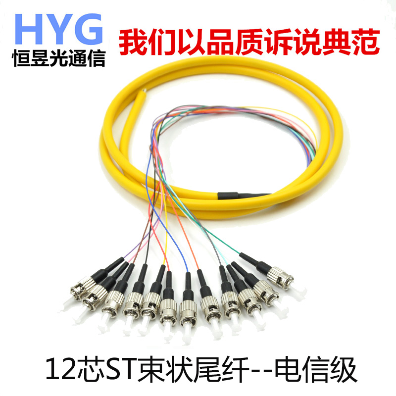 河南恒昱光12系束状尾纤ST